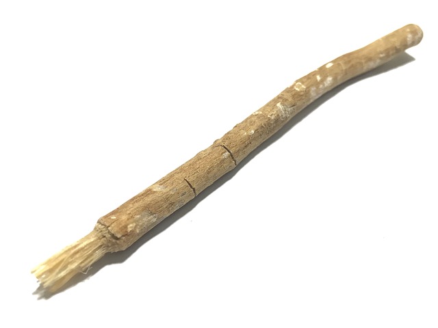 zweig-miswak-5236923_640 Miswak oder eine kleiner Ast, der dir bei deiner Mundhygiene hilft